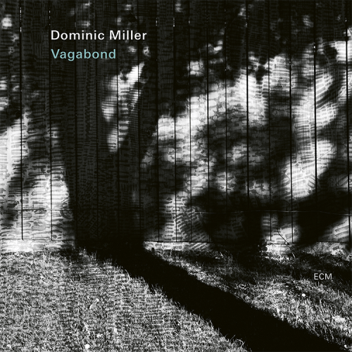 Vagabond by Dominic Miller (1)