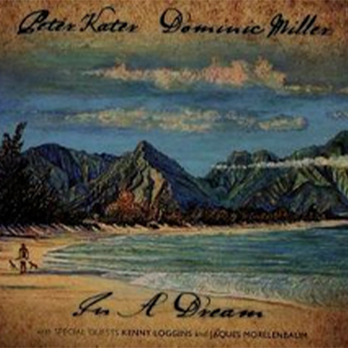 inadream 2